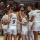 LDLC ASVEL FÉMININ